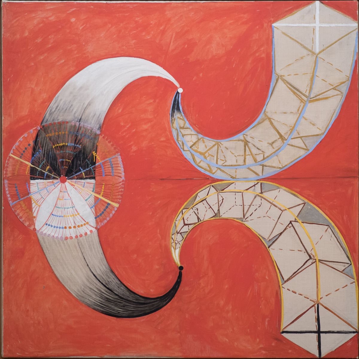 Kuğu No. 9