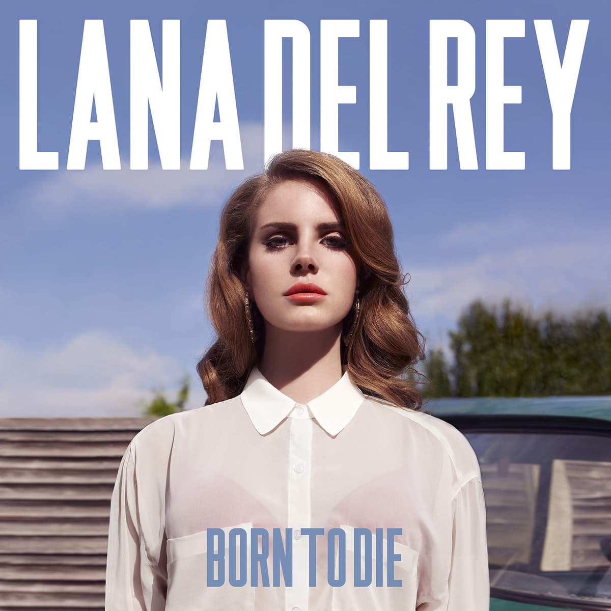 Lana Del Rey - Born To Die — Lana Del Rey Posterleri metal poster