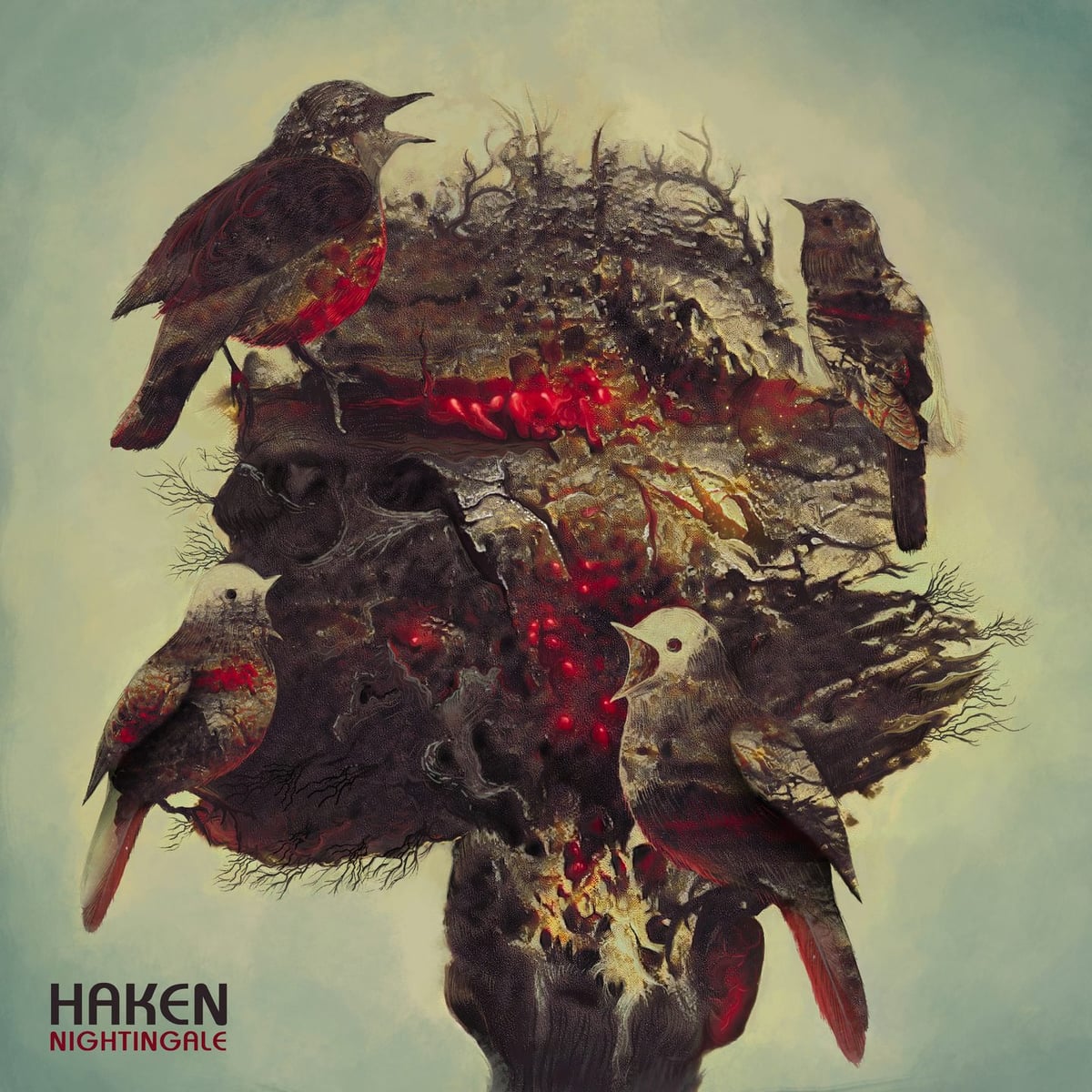 Haken: Nightingale Albüm Kapağı