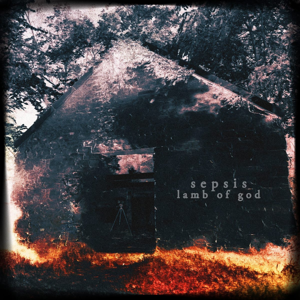 Lamb of God: Sepsis Albüm Kapağı
