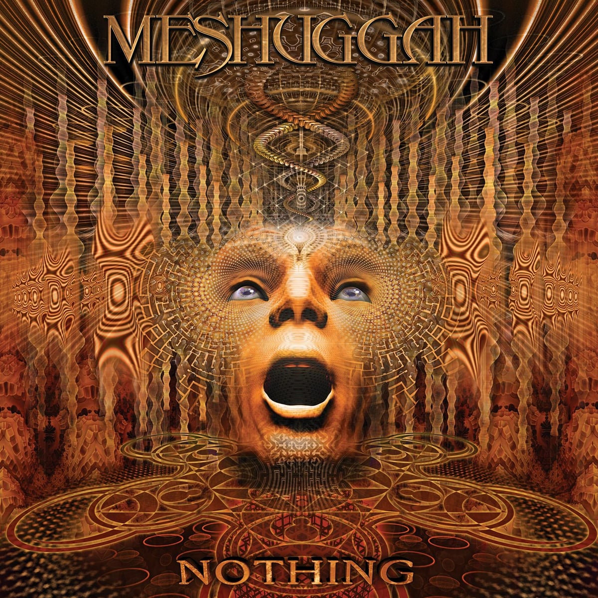 Meshuggah: Nothing