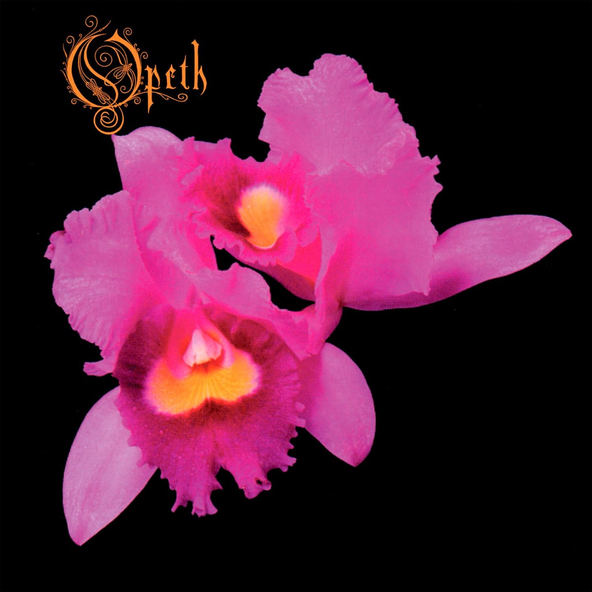 Opeth: Orman Çiçeği