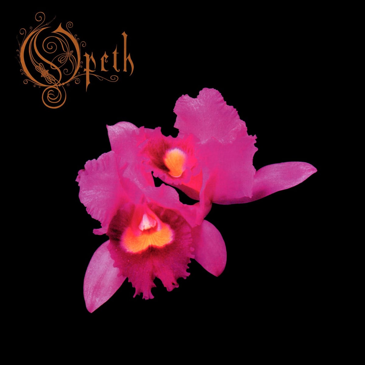 Opeth: Orkide ve Melankoli