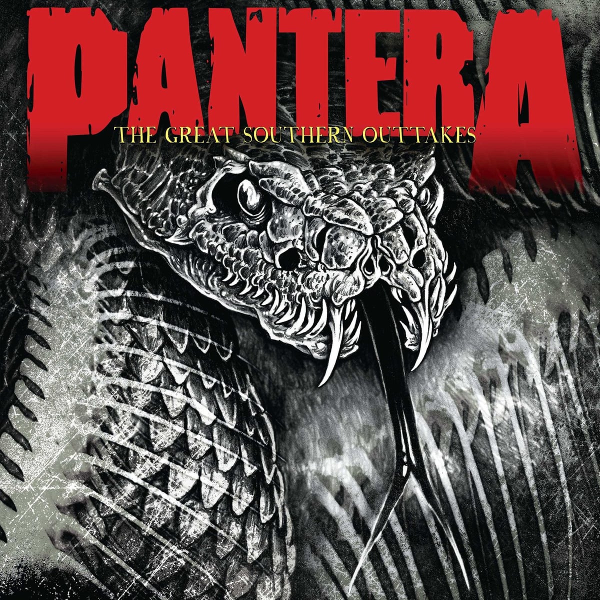 Pantera: The Great Southern Outtakes