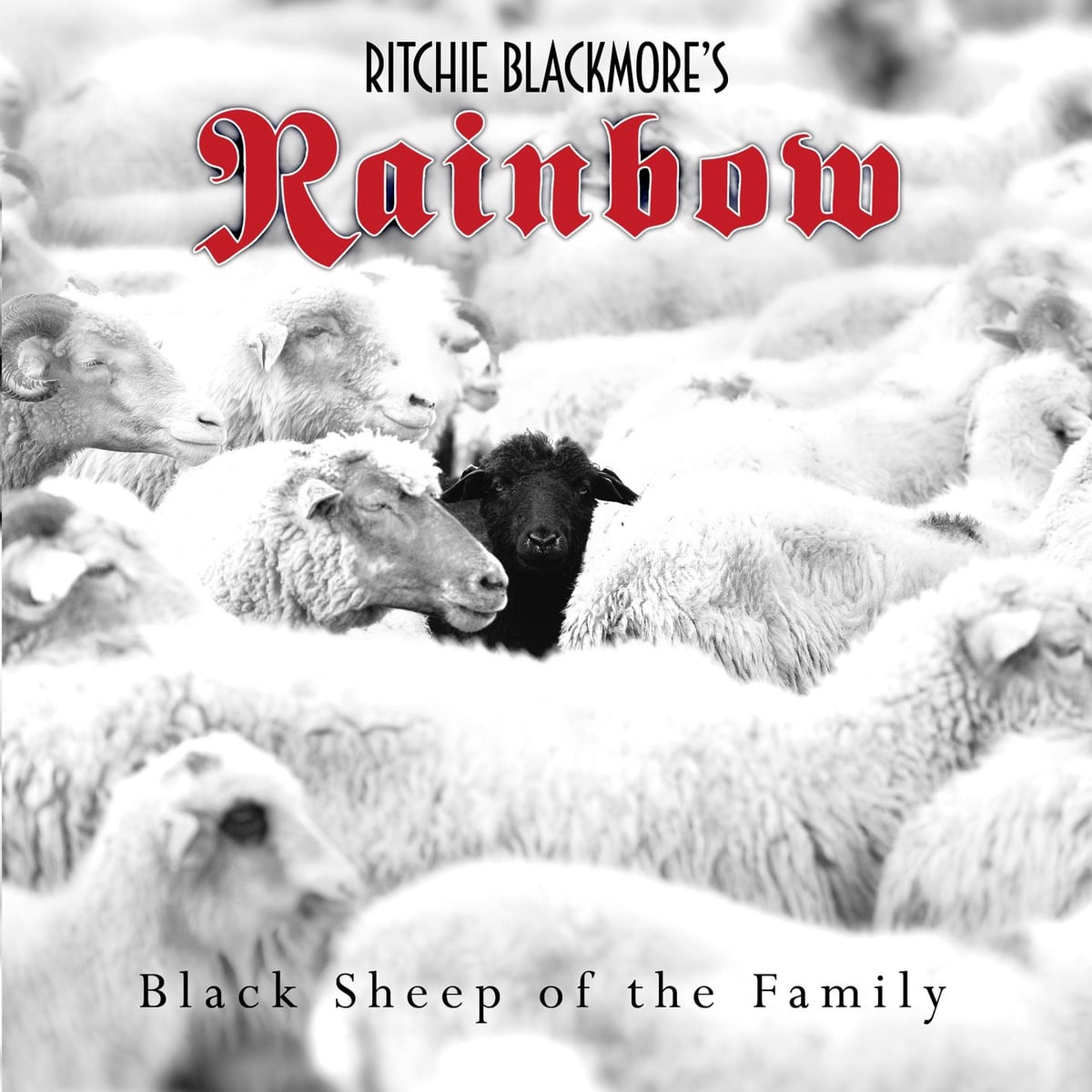 Rainbow: Black Sheep of the Family