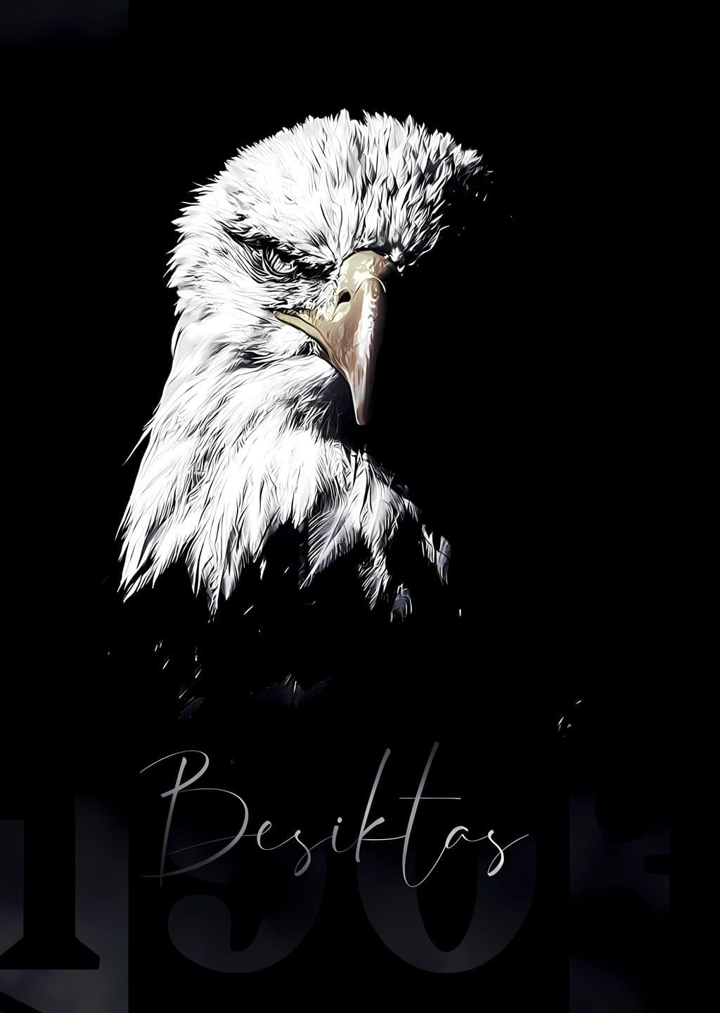 Beşiktaş: Kartalın Bakışı