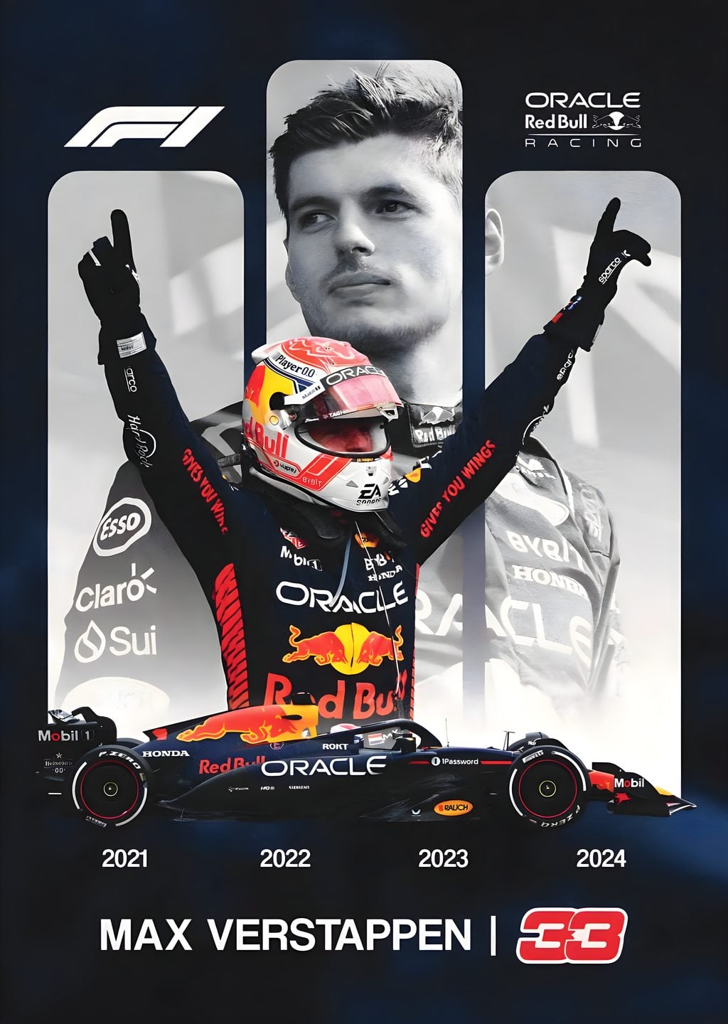 Max Verstappen: Red Bull Racing