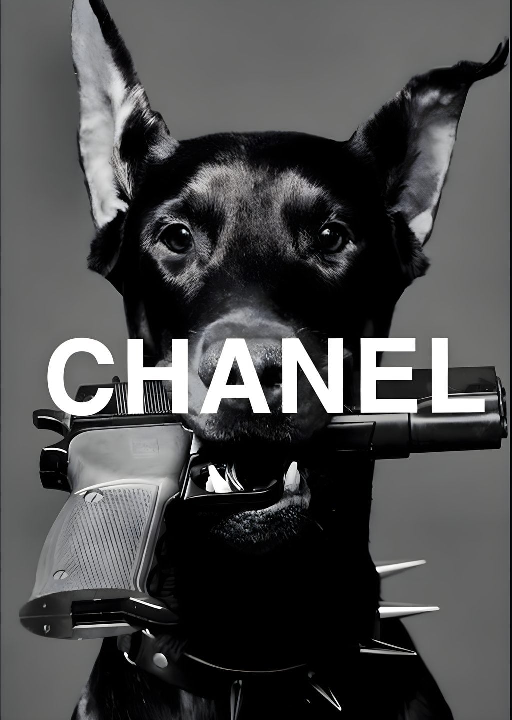 Chanel: Siyah Köpek ve Silah İkonu