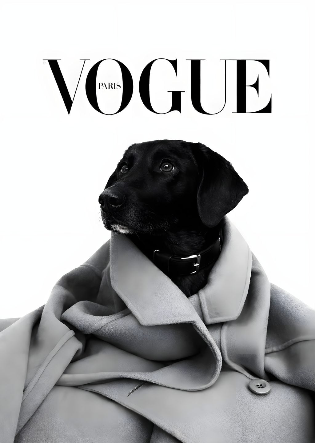 Vogue Paris: Kıyafetli Köpek Kapağı