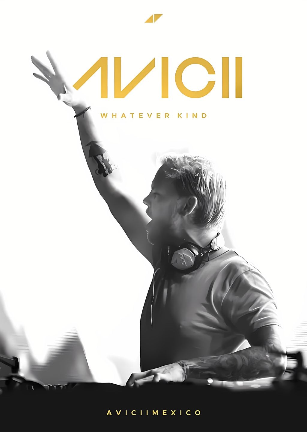Avicii: Whatever Kind