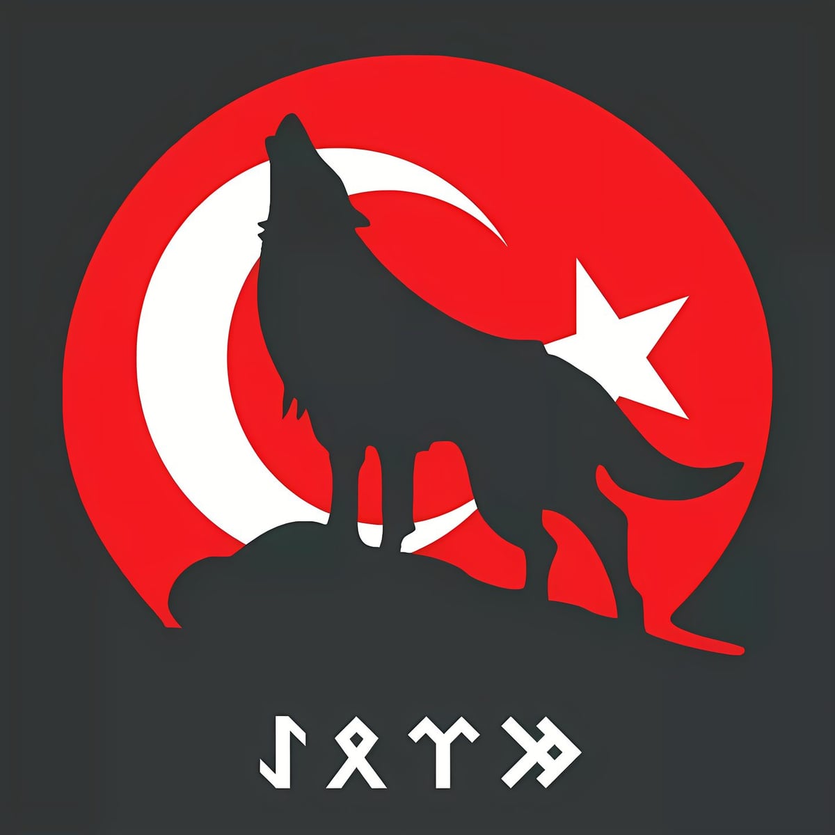 Bozkurt ve Ay Yıldız