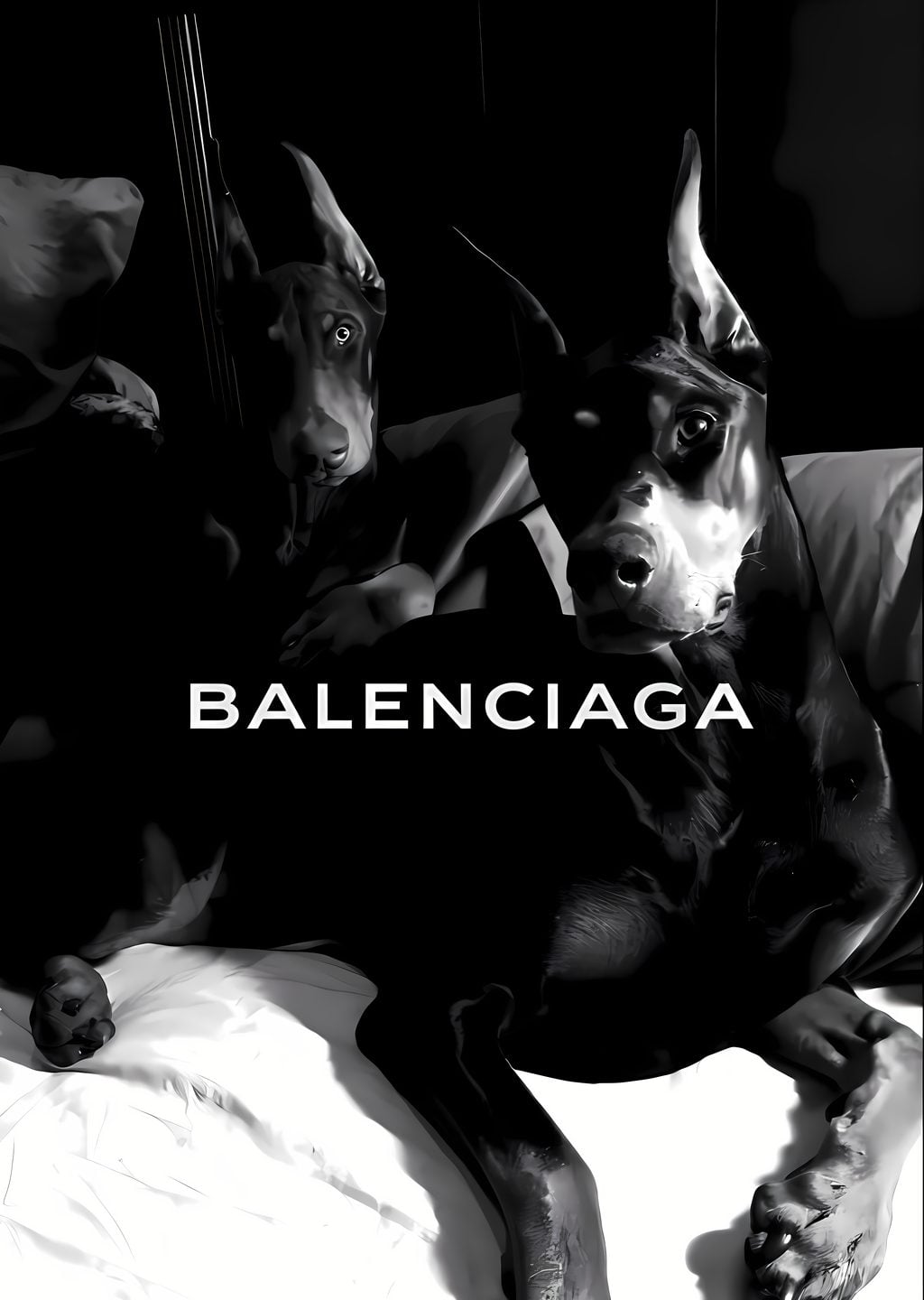 Balenciaga: Dobermanlar