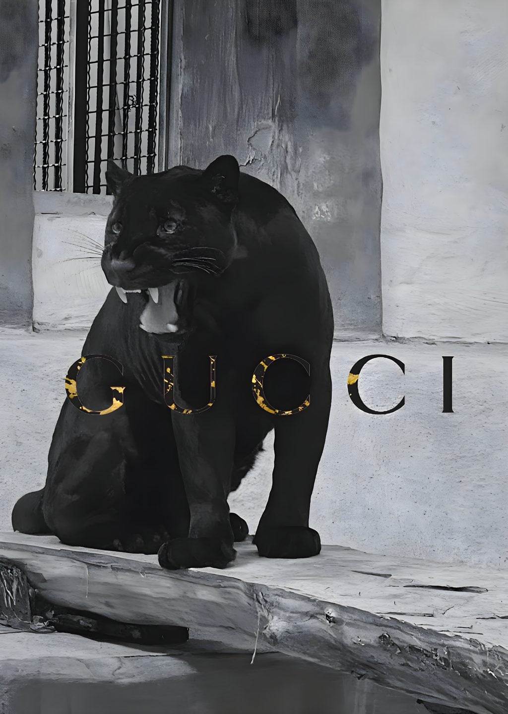 Gucci: Siyah Pijon İkonu