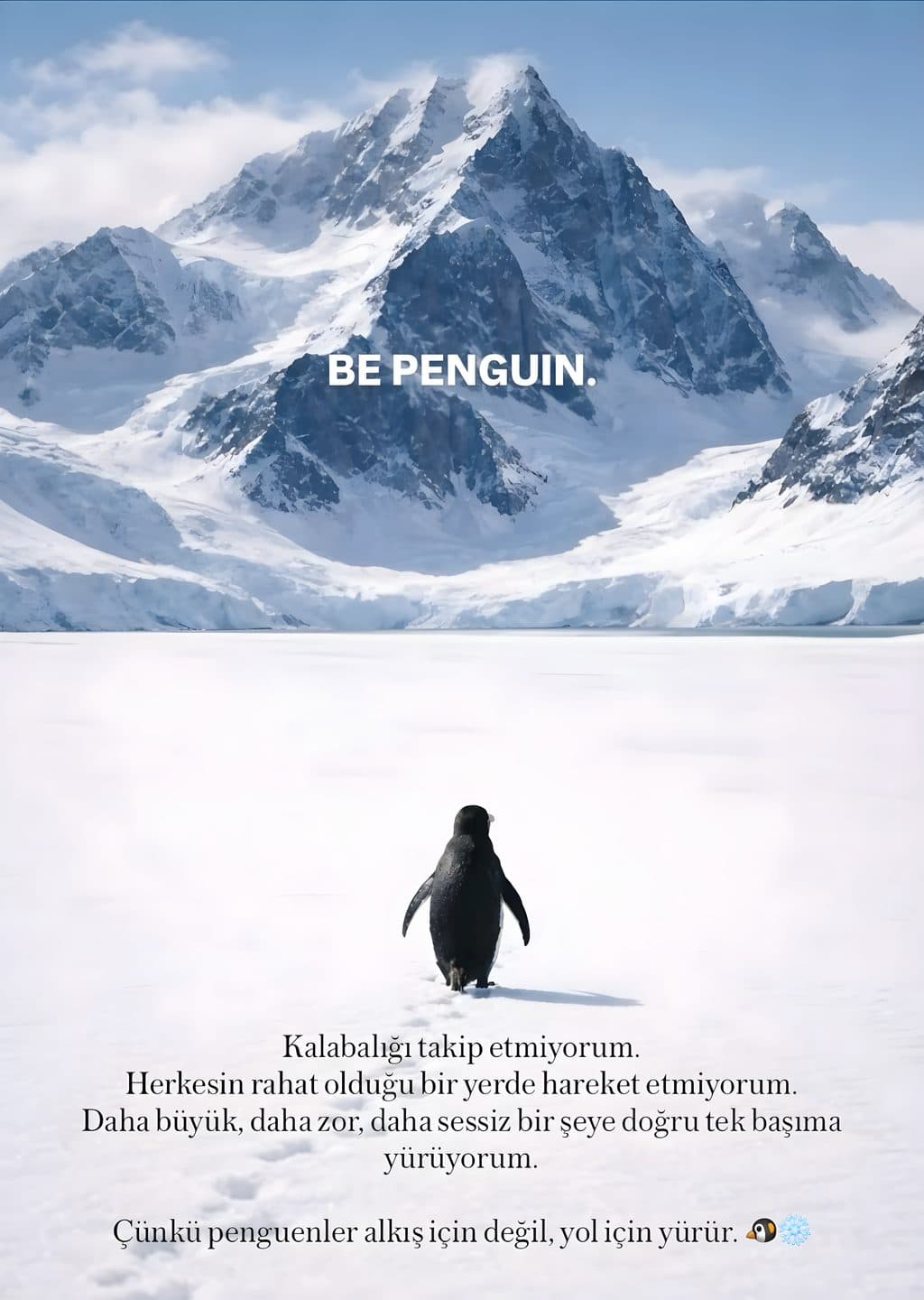 Be Penguin: Kutsal Yolculuk