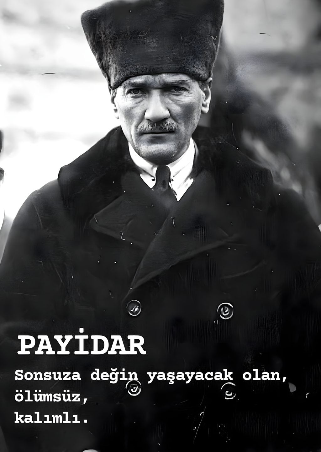 Mustafa Kemal Atatürk: Payidarlık ve Anayasal Demokrasi