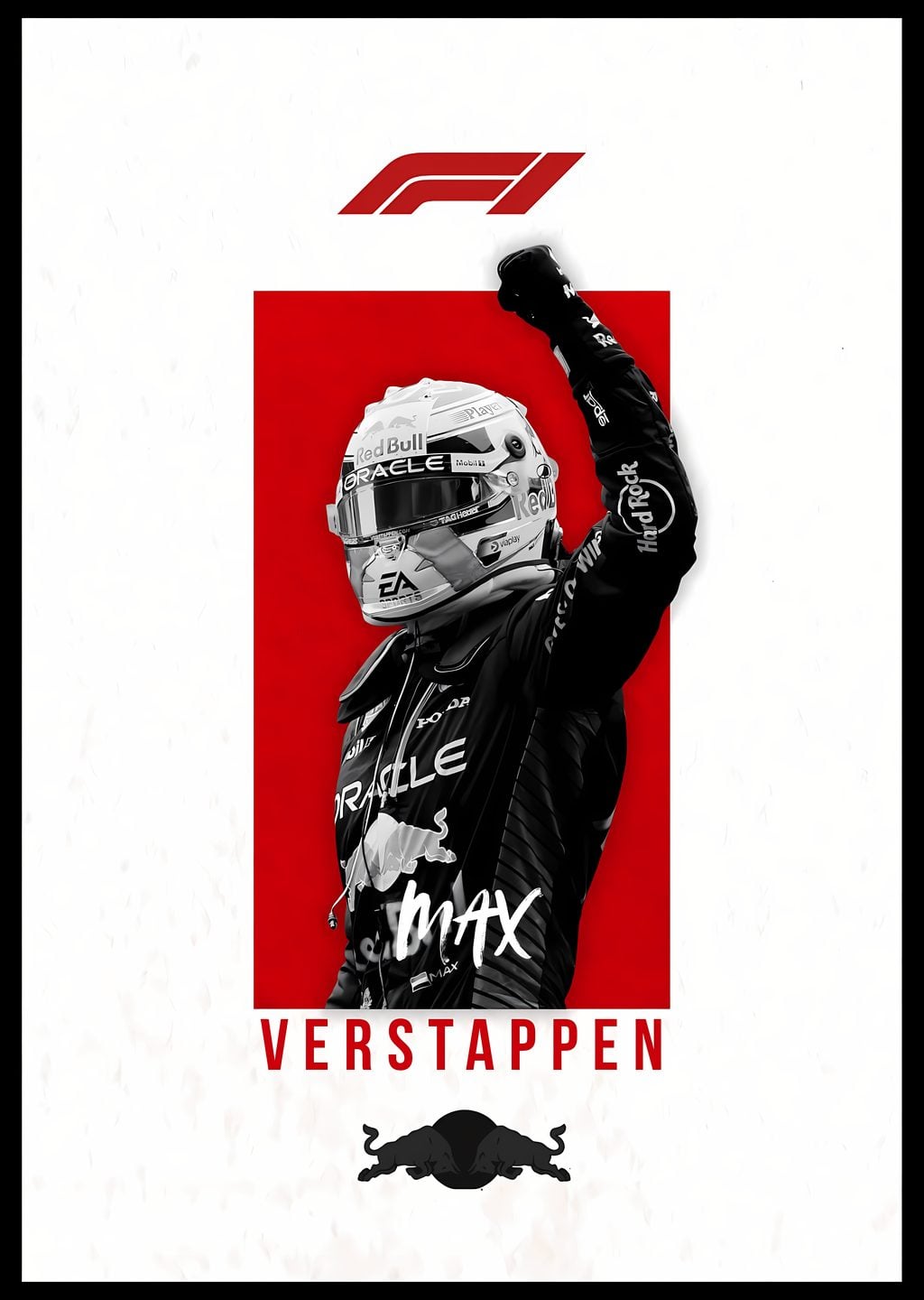 Max Verstappen: F1 Şampiyonu