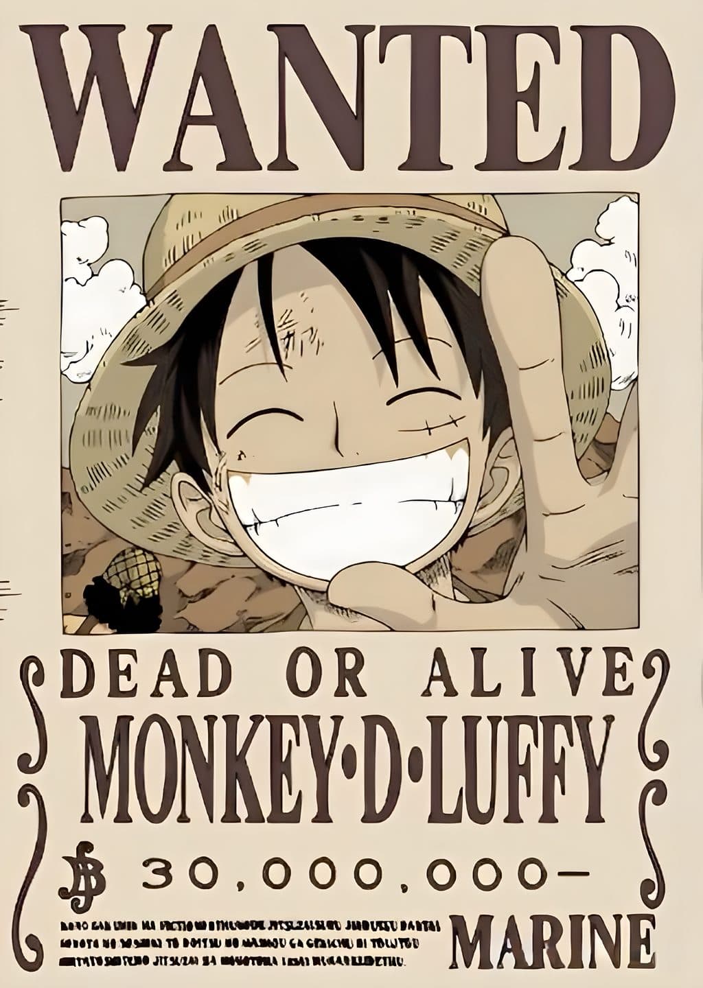 Monkey D. Luffy: Wanted!