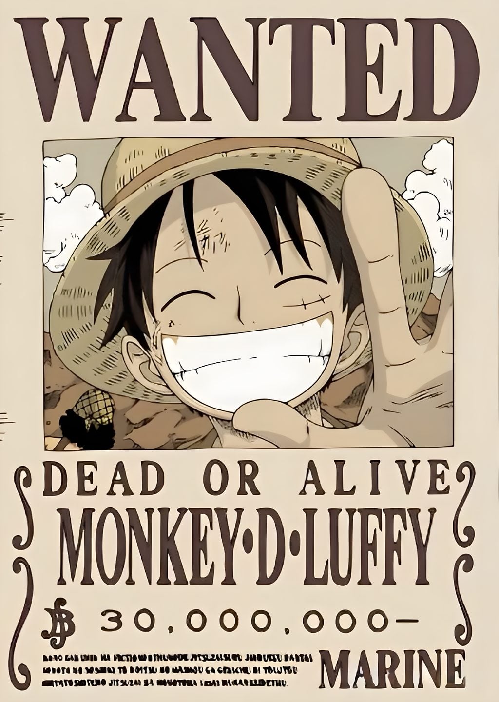 Monkey D. Luffy: Wanted!