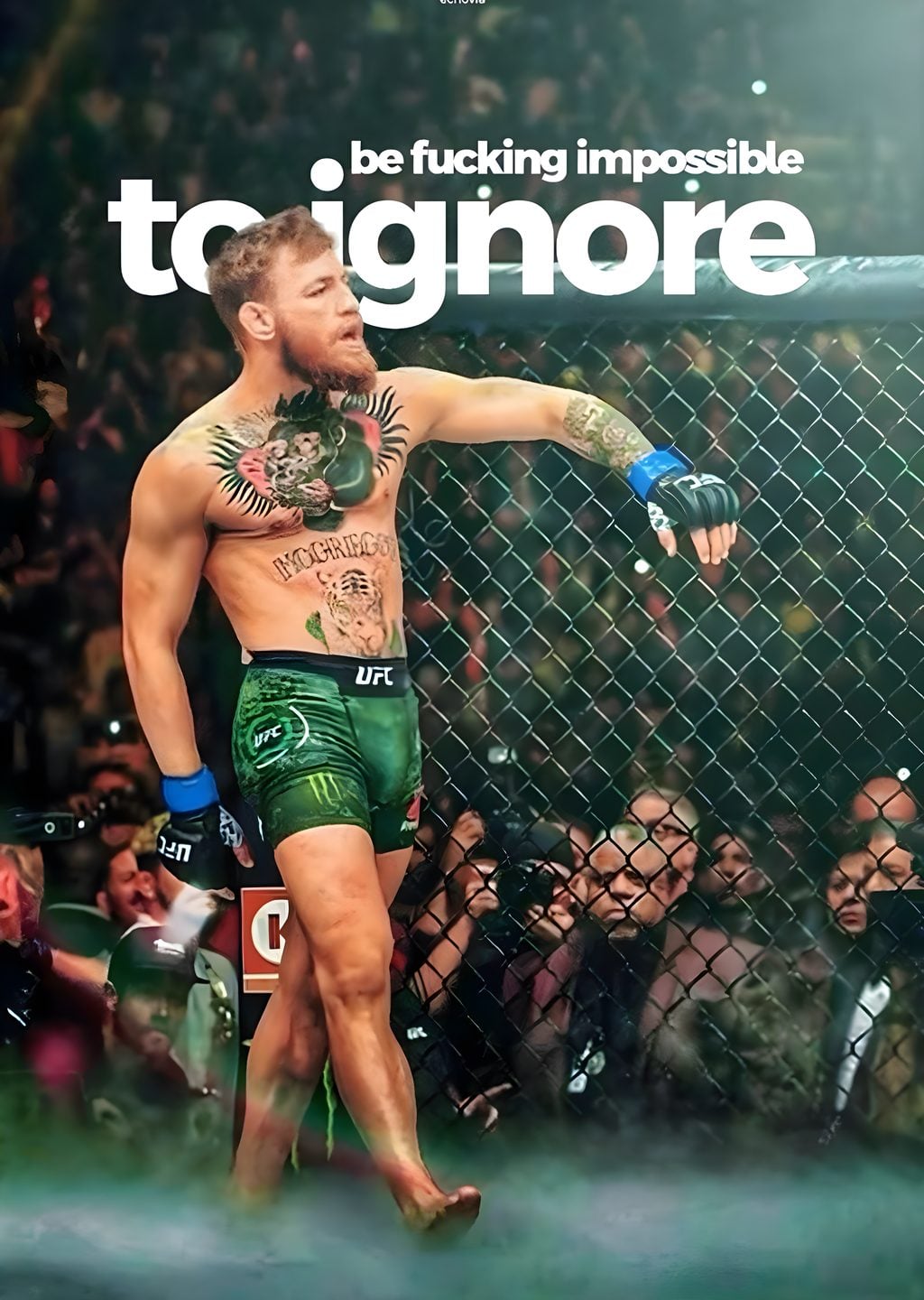 Conor McGregor: Çıkartımsız