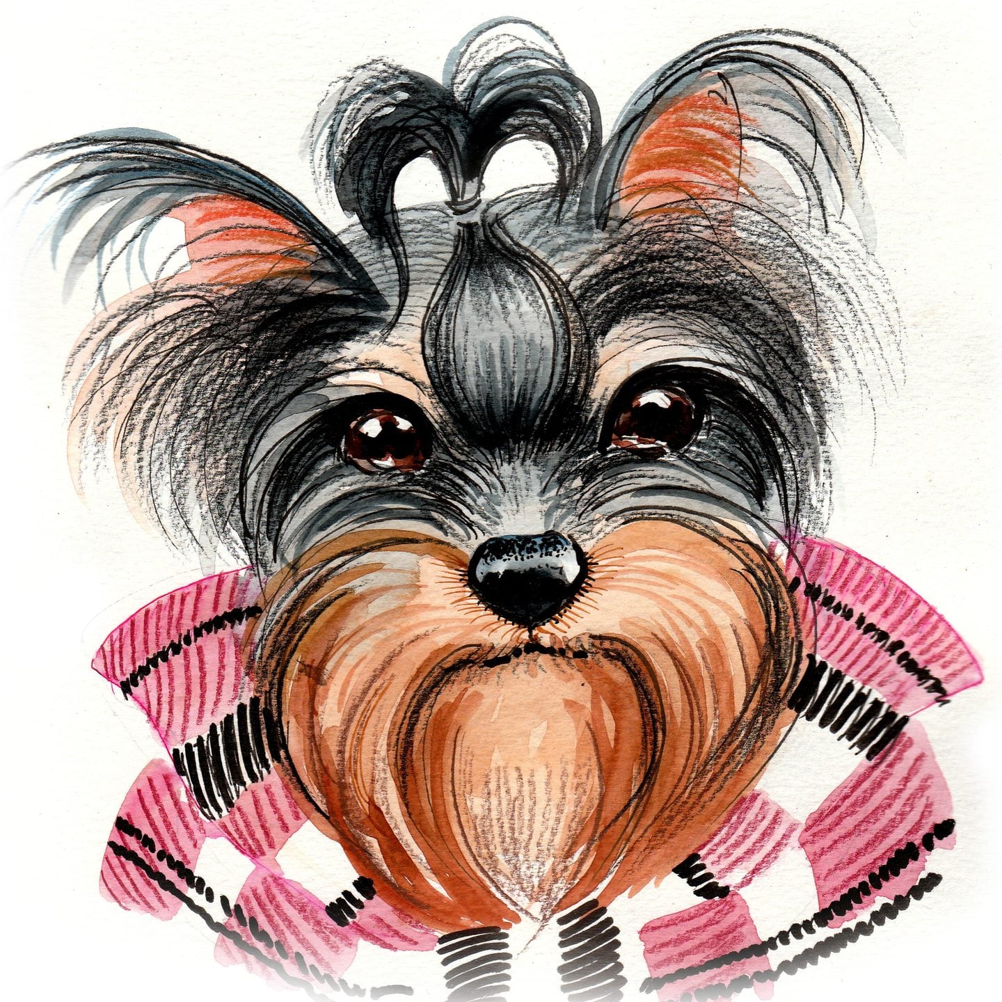 Yorkshire Terrier Portresi