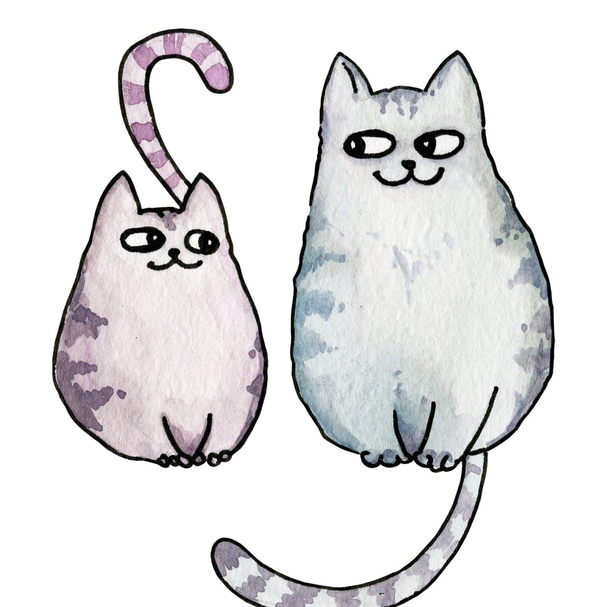 Sevimli İki Kedi İllüstrasyonu