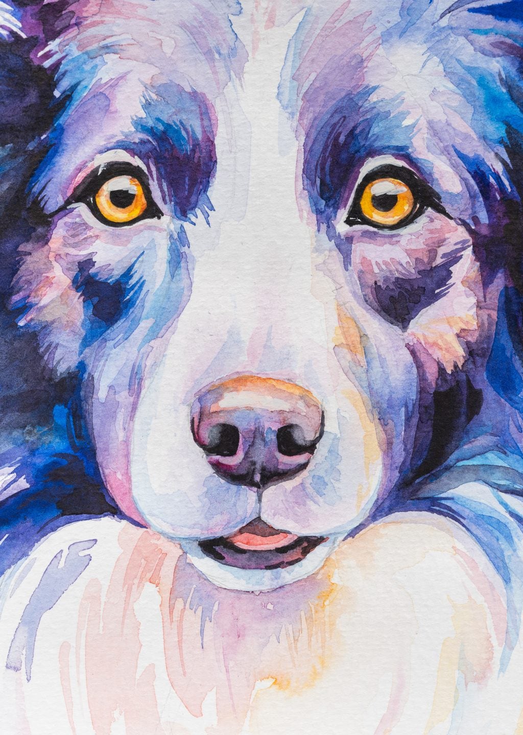 Su Renkleriyle Yüz İfade Eden Bir Köpek