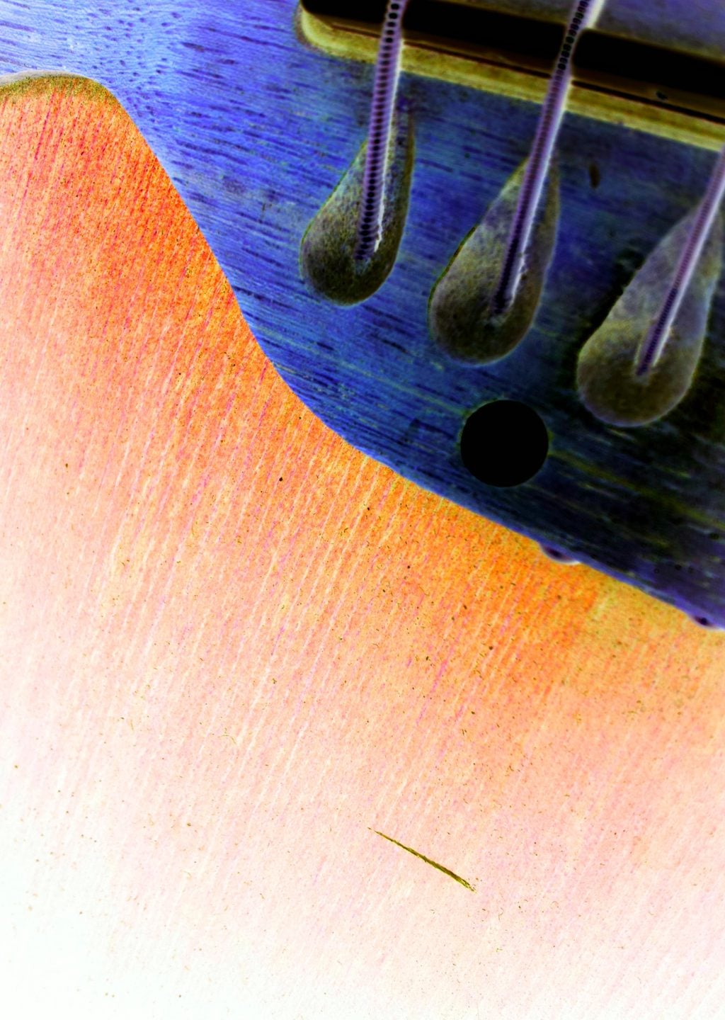 Müzik Aletleri Sanatı: Gitar Detayı
