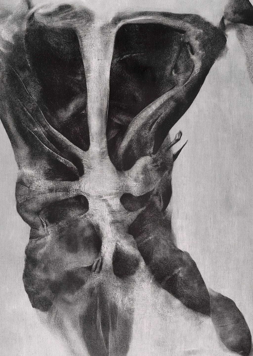 İnsan Vücudu Anatomisi