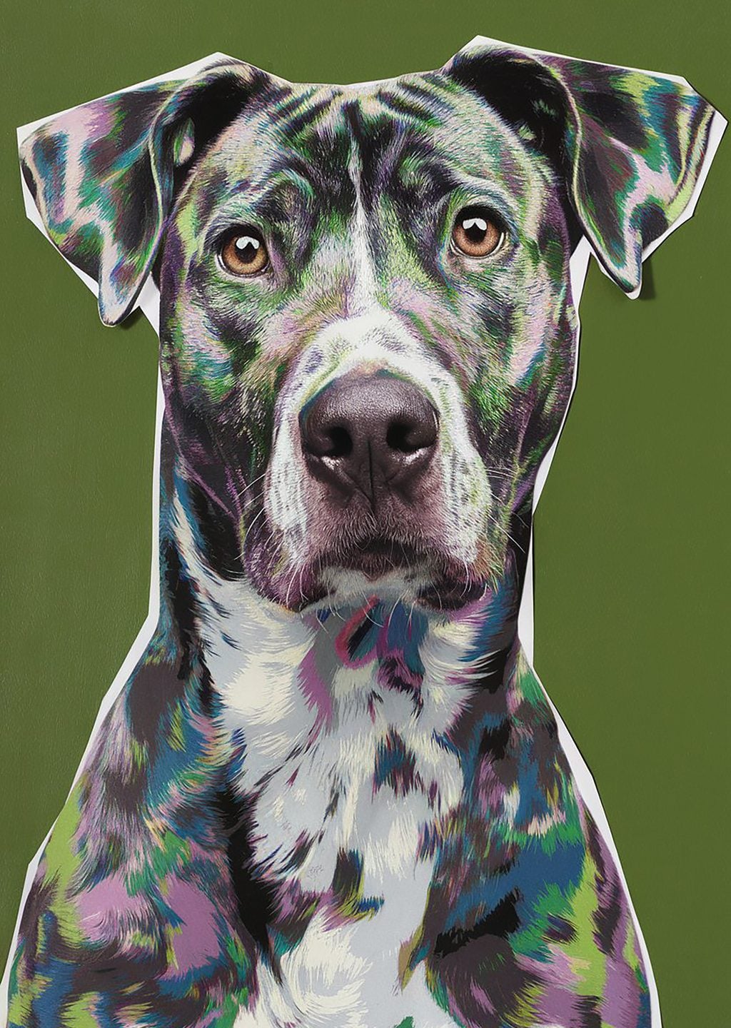 Sanat Eseri: Renkli Köpek Portresi