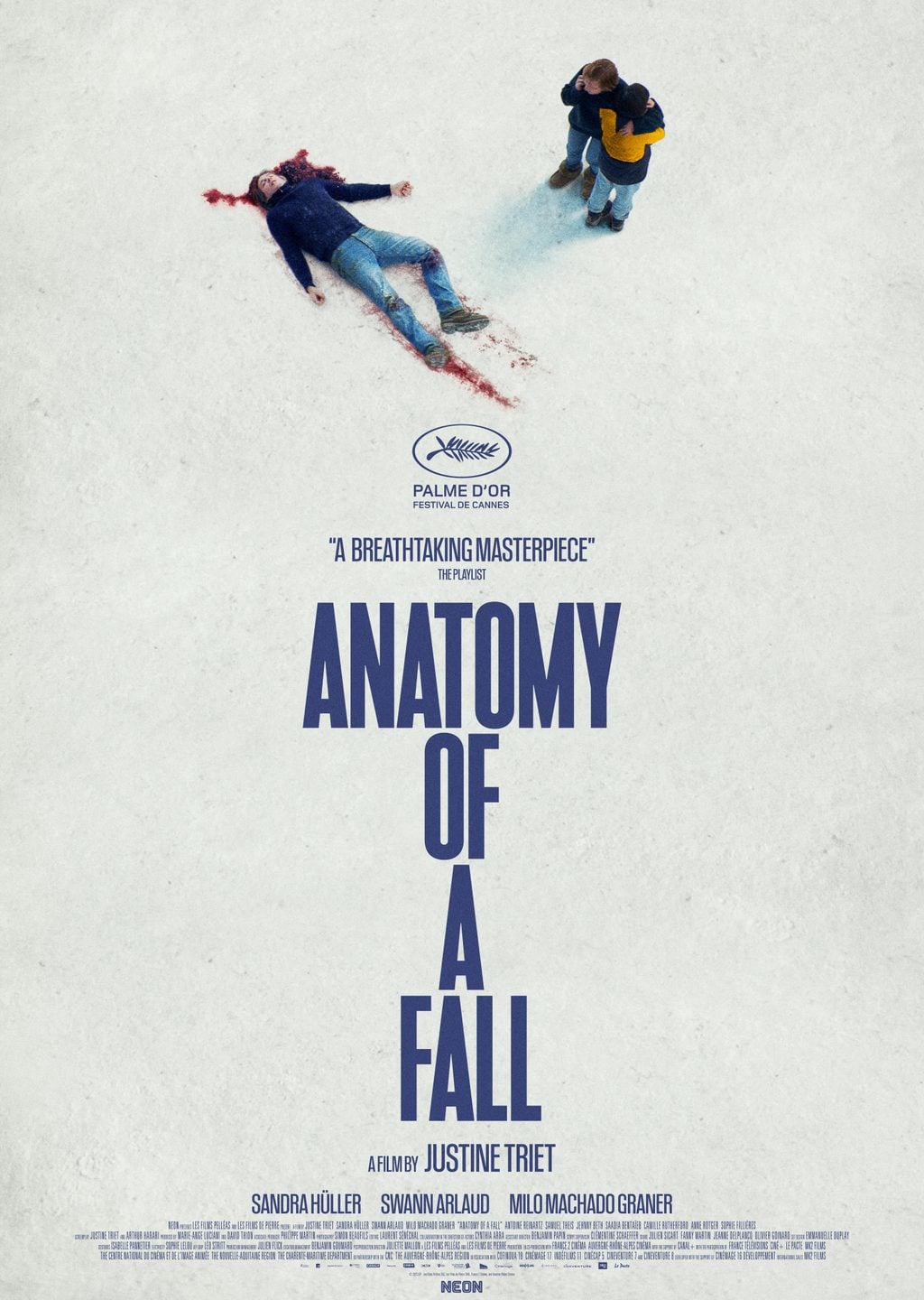 Düşüşün Anatomisi Film Posteri