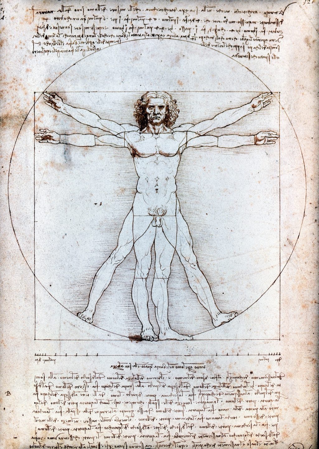 Vitruvius Adamı