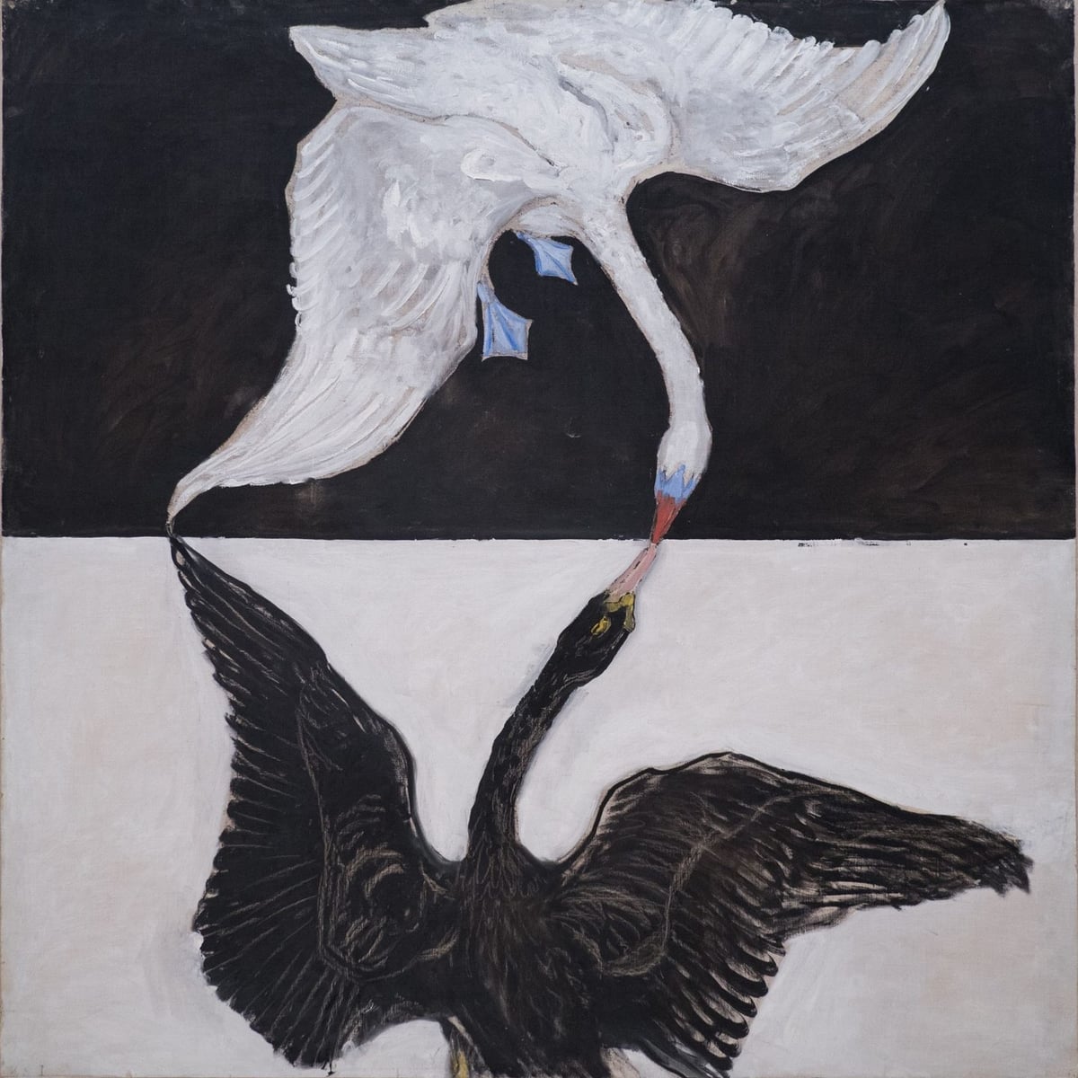 Kuğu No. 1