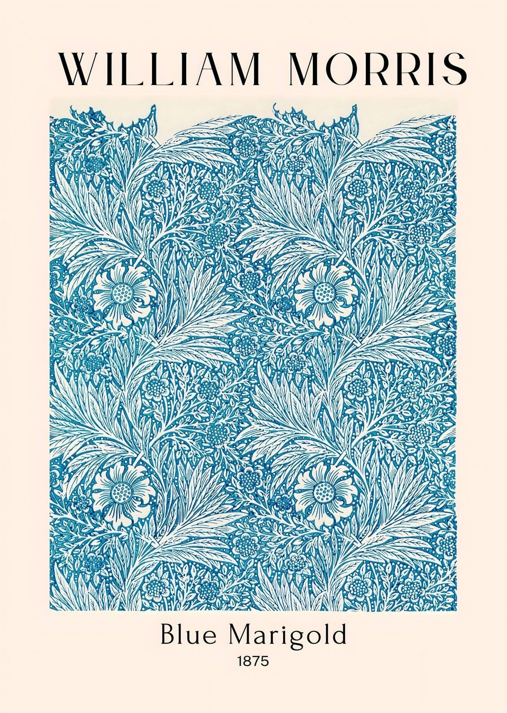 Mavi Marigold