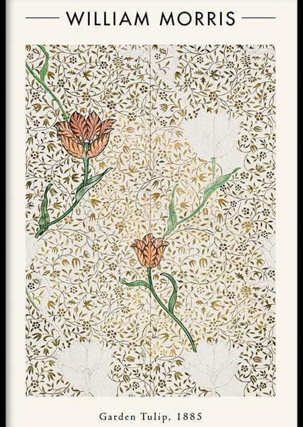 Bahçe Lalesi