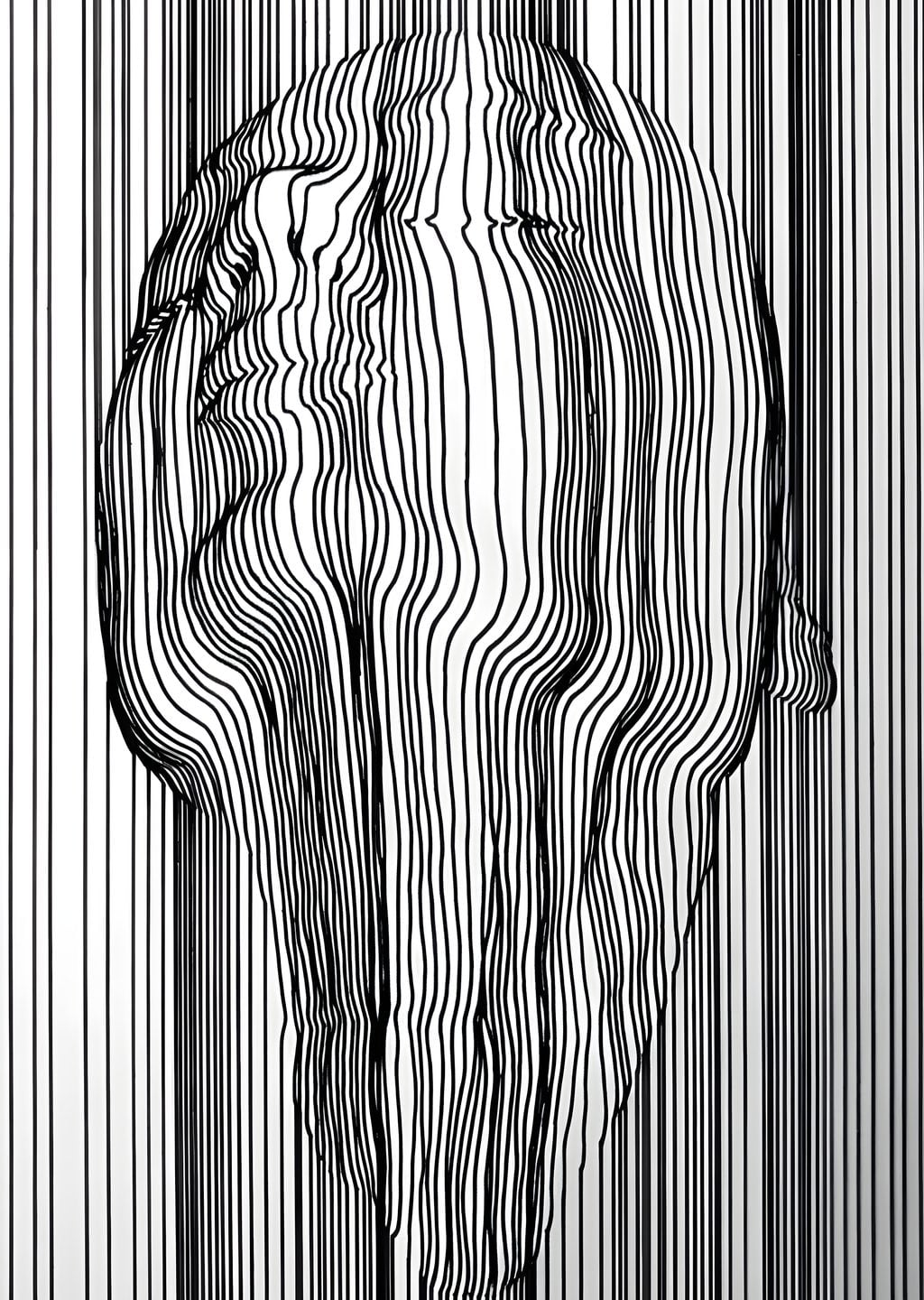 Abstract Siyah Beyaz Baş Resim