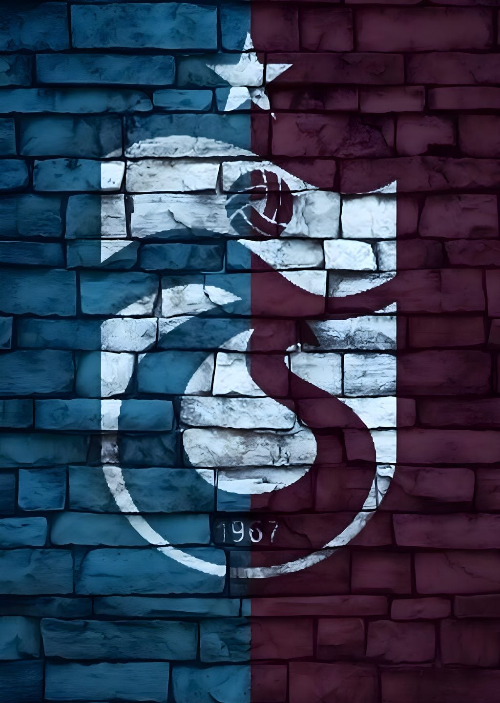 Trabzonspor: Duvar Sanatı