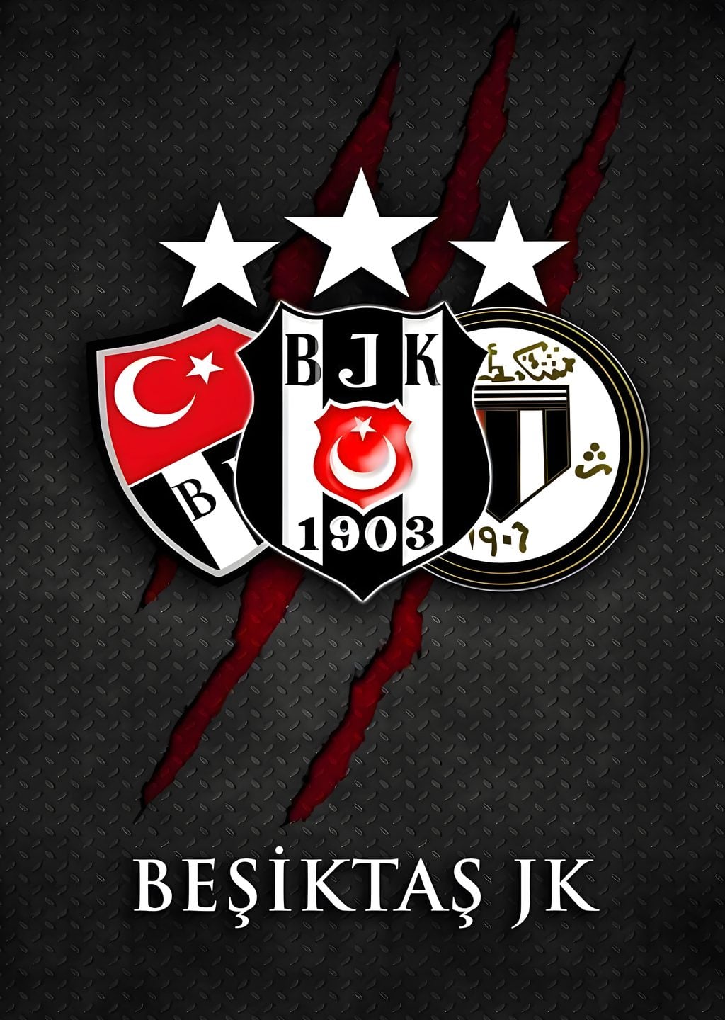Beşiktaş JK: Çubuklu Arma