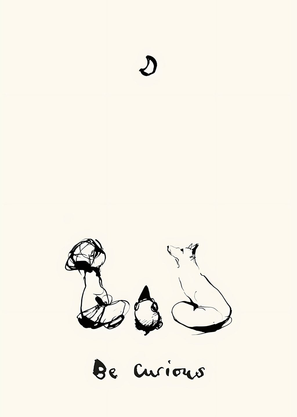 Be Curious: Kediler ve Kelebek