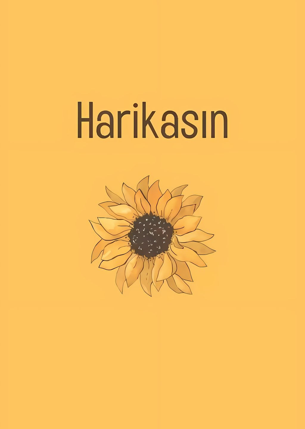 Harikasın
