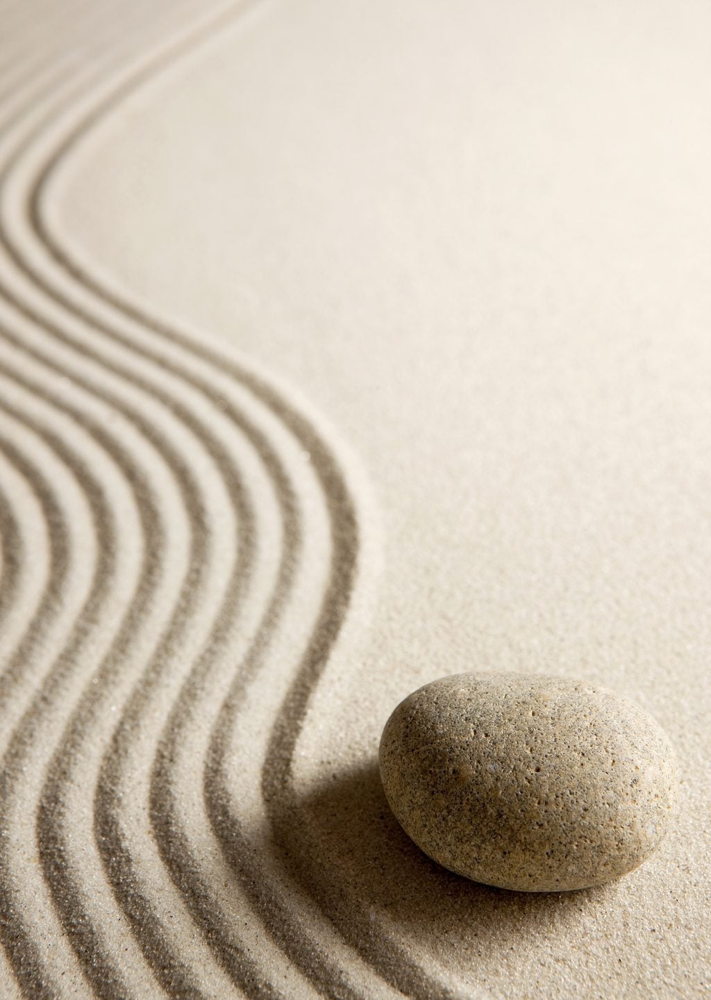 Zen Bahçesi: Kum ve Taş Dengesi