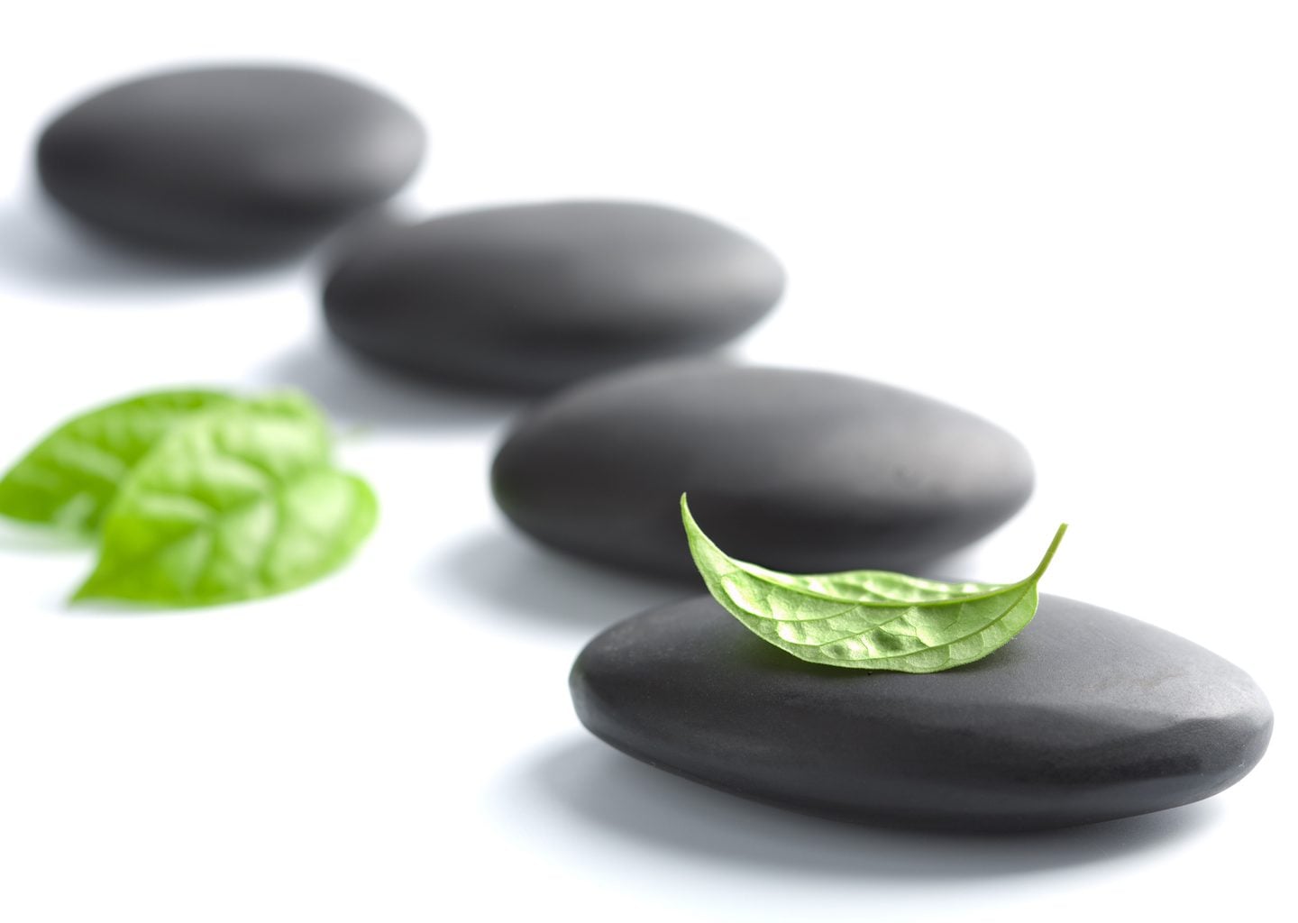 Zen Taşları ve Yaprak