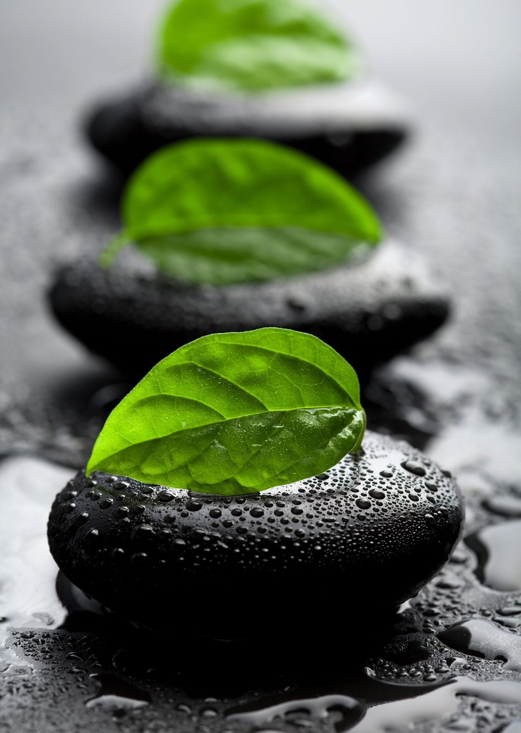 Zen Taşları ve Yapraklar Sanat