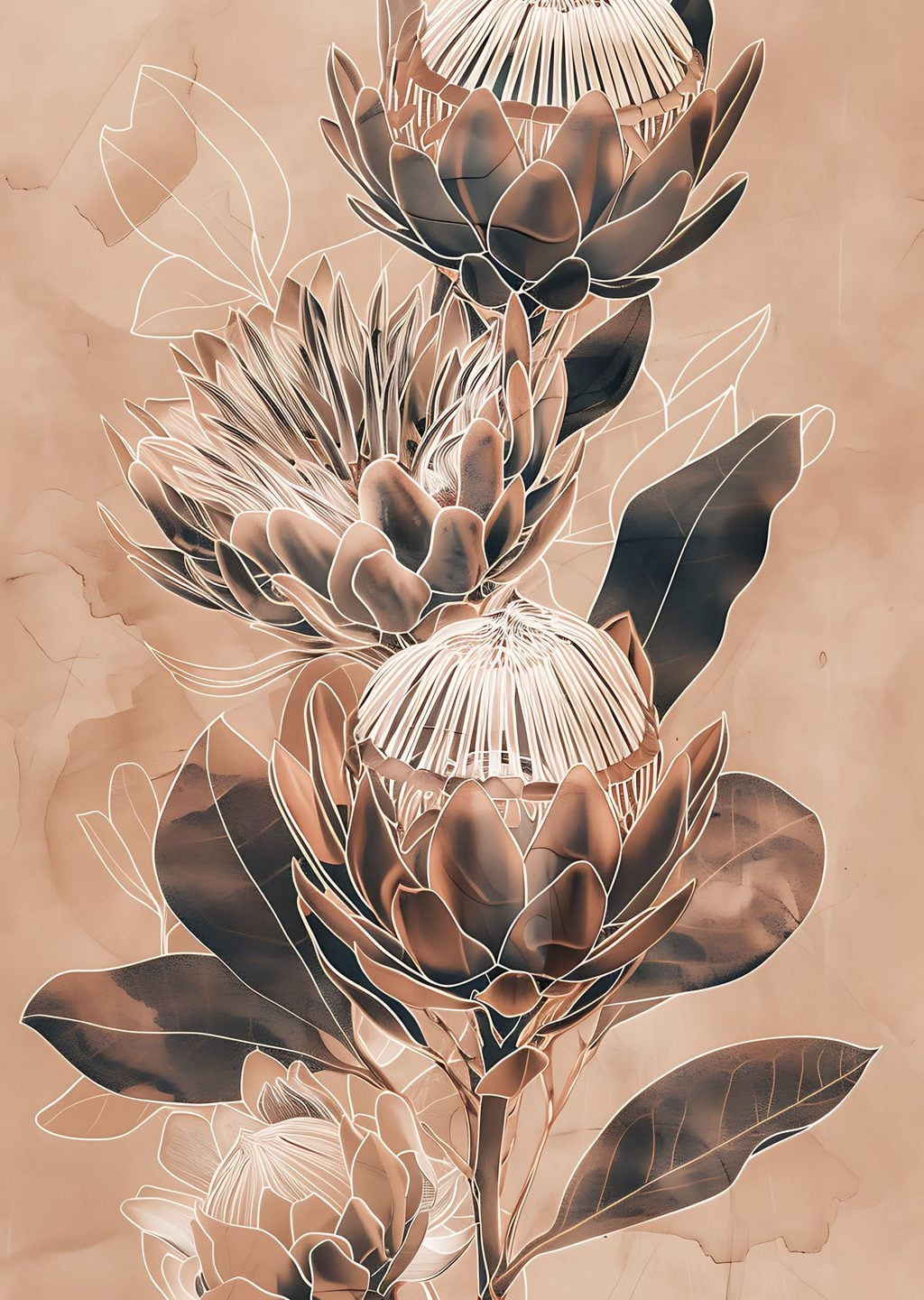 King Protea Çiçekleri