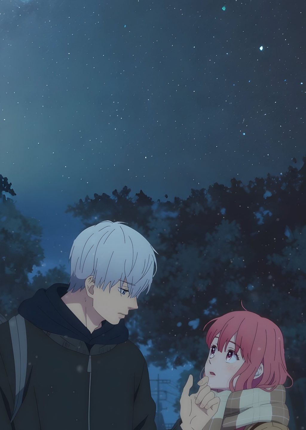 Anime Gece Şenliği
